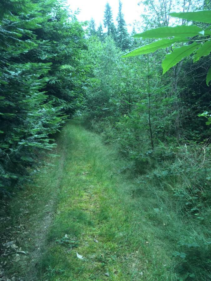 Forét Enchantée De Bourgogne La Celle-En-Morvan Esterno foto